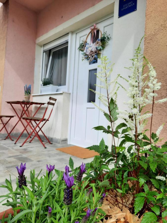 Apartmani Venium Križevci Exterior foto