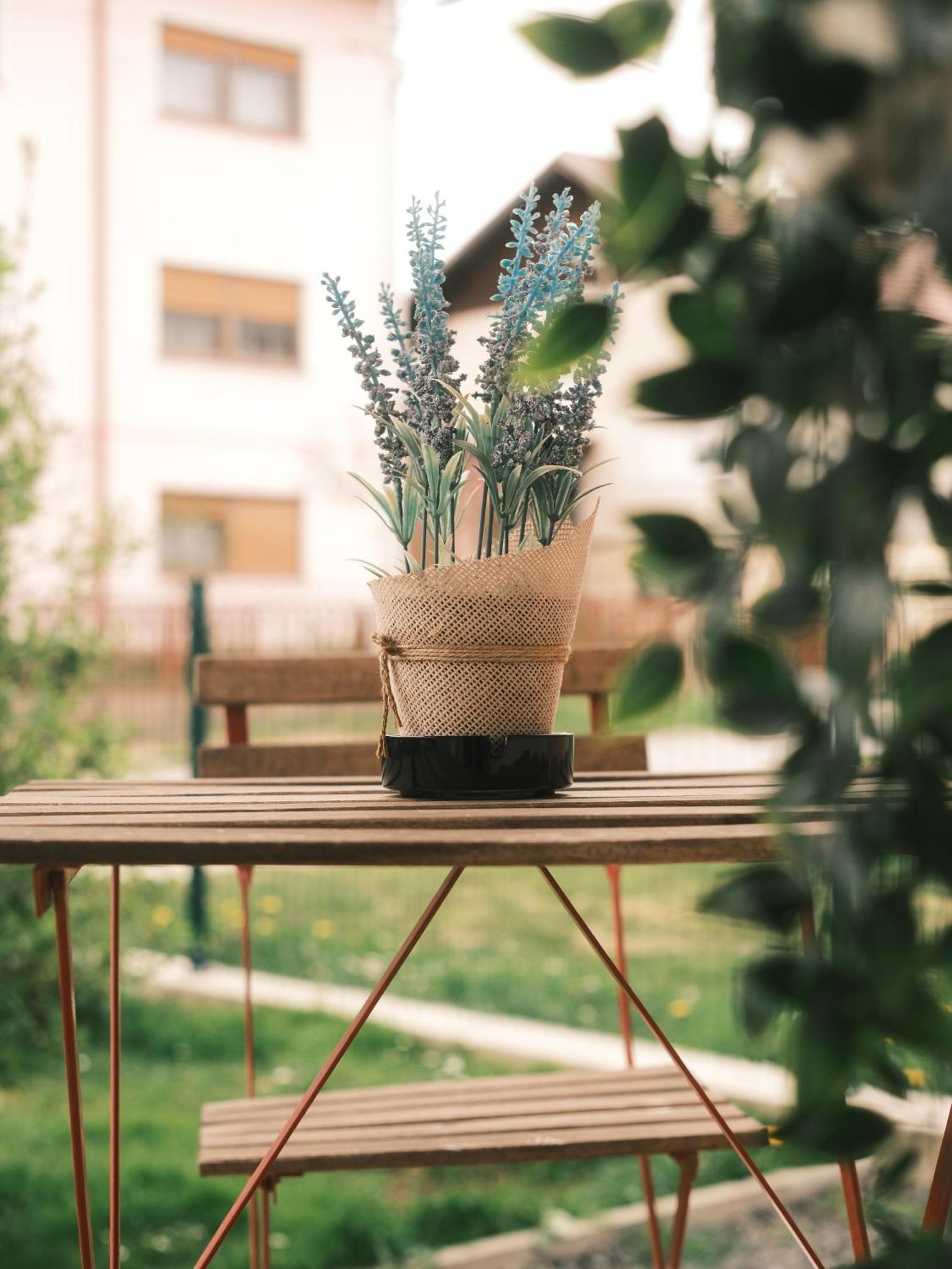 Apartmani Venium Križevci Exterior foto